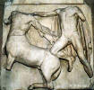 image10