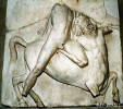 image10