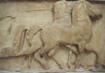 chevaux.jpg (35798 octets)