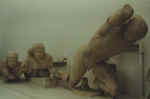 fronto2.jpg (19782 octets)