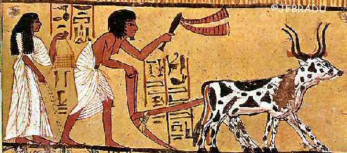 L Agriculture De L Egypte Antique